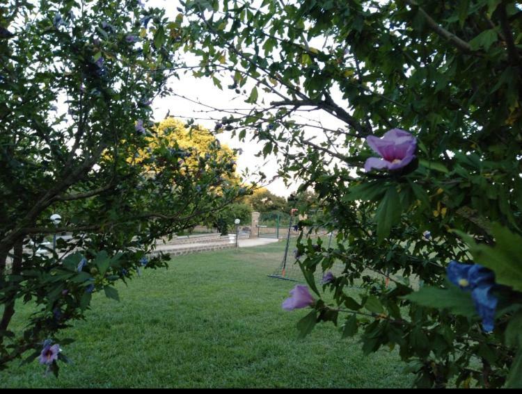 Favoloso Appartamento In Villa Monterosi Exterior photo