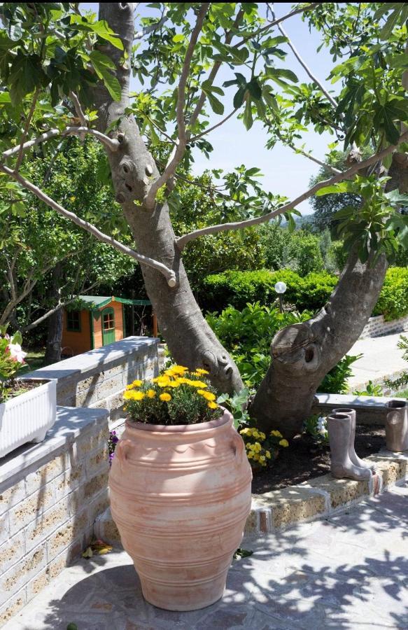 Favoloso Appartamento In Villa Monterosi Exterior photo