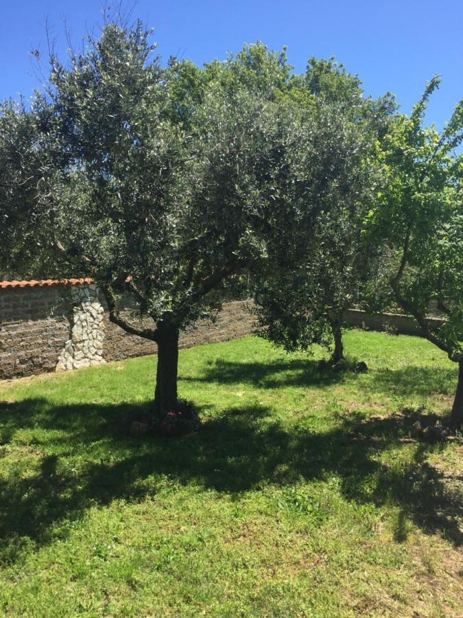 Favoloso Appartamento In Villa Monterosi Exterior photo